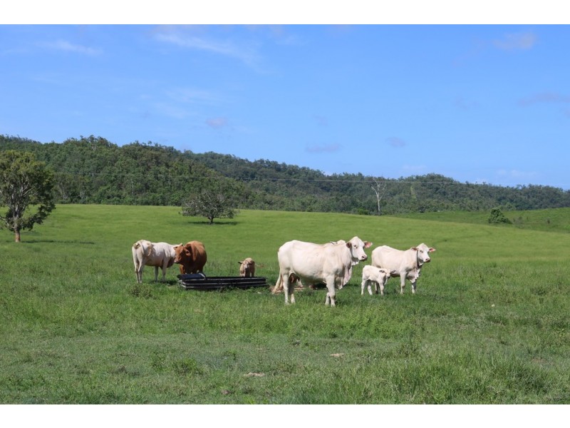 424 Exmoor Road, Bloomsbury QLD 4799