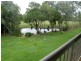 1449 Cascade Condominium, Laguna Quays QLD 4800