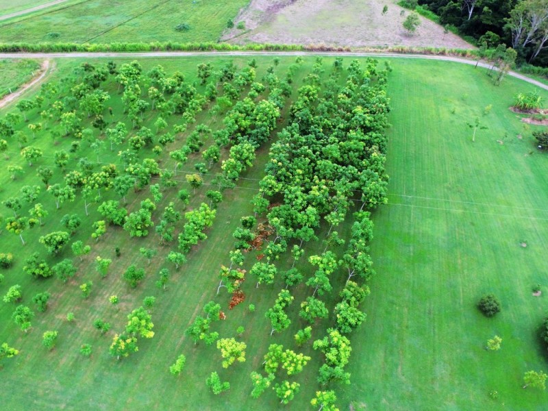 15 Gregory-Cannonvalley Road, Gregory River QLD 4800