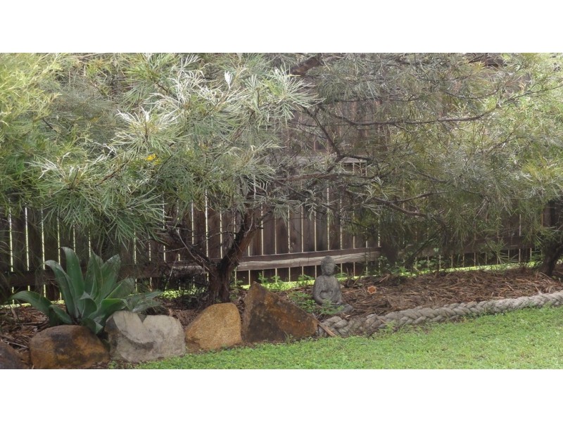 53 Trochus Street, Dingo Beach QLD 4800