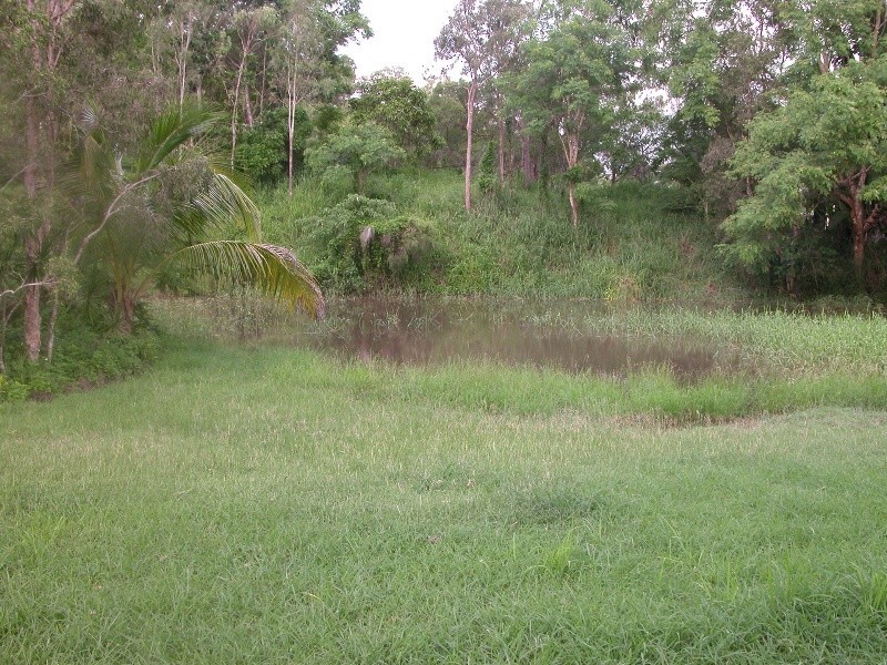 20 Domenica Rd, Strathdickie, Proserpine QLD 4800
