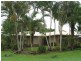 29 Carnation Street, Proserpine QLD 4800