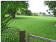 29 Carnation Street, Proserpine QLD 4800