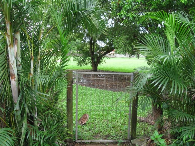 29 Carnation Street, Proserpine QLD 4800