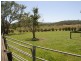 53 Camm Road, Mount Julian QLD 4800