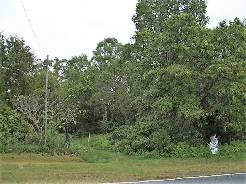 Lot 2 Bundesen Avenue, Midge Point QLD 4799