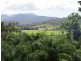 29 Camille Drive, Strathdickie QLD 4800