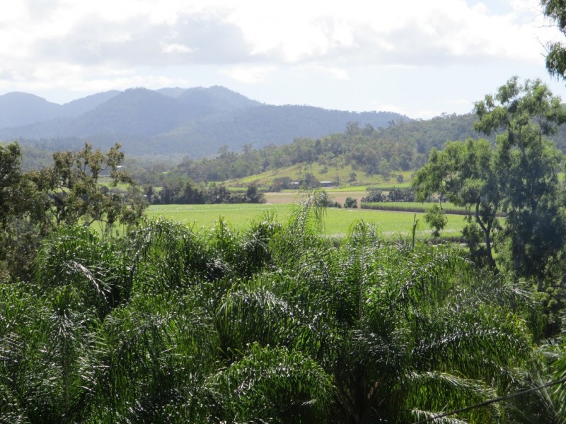 29 Camille Drive, Strathdickie QLD 4800