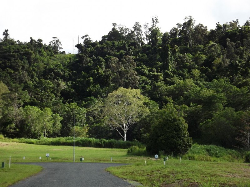 Lot 11 / 105 Telford Road, Strathdickie QLD 4800