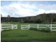 Lot 11 / 105 Telford Road, Strathdickie QLD 4800