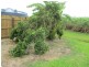 12560 Bruce Highway, Proserpine QLD 4800