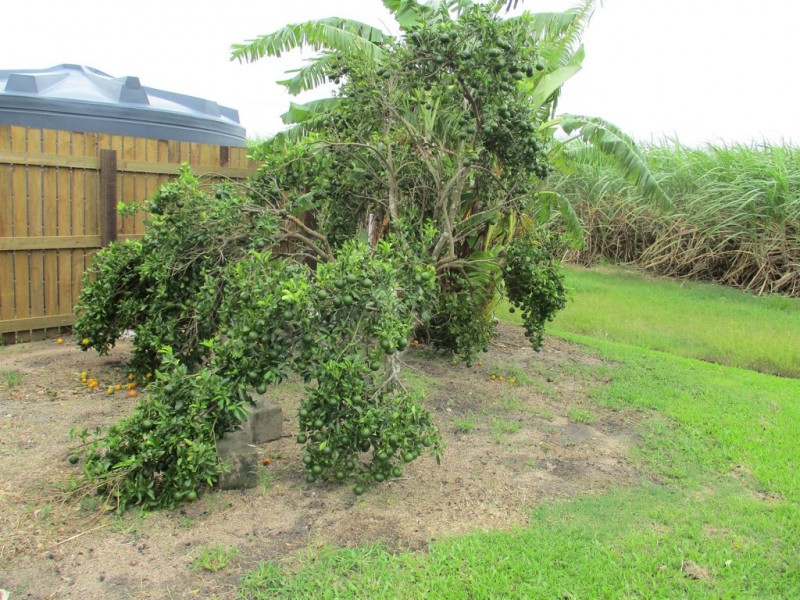 12560 Bruce Highway, Proserpine QLD 4800