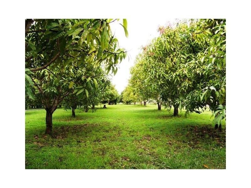 7 Lindeman Drive, Bloomsbury QLD 4799