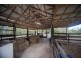 93 Bonnie Springs Road, Myrtlevale QLD 4800