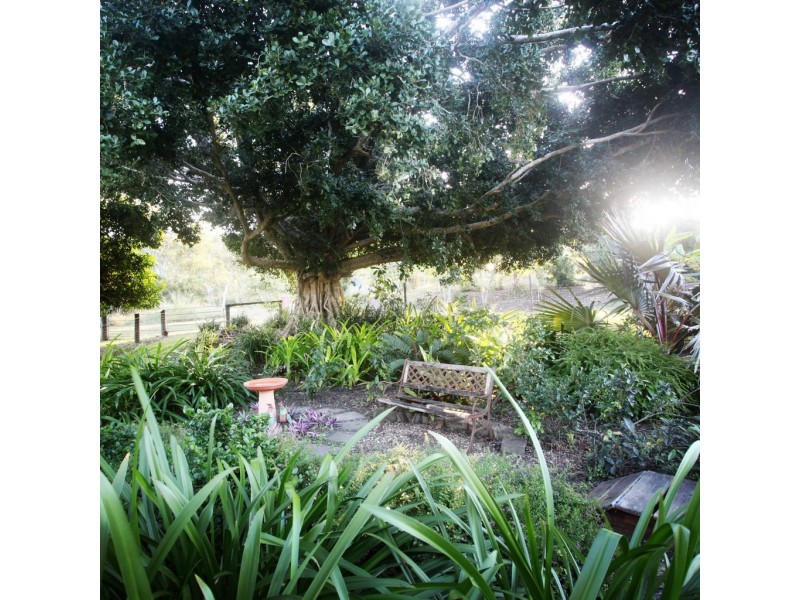 33 Gillies Road, Strathdickie QLD 4800