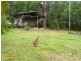 122 Monaghan, Conway QLD 4800