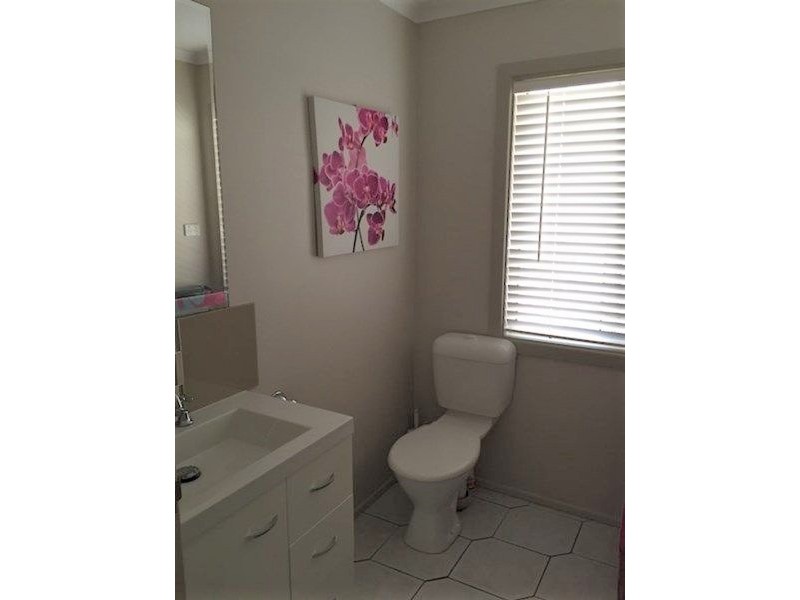 1323 Midge Point Road, Midge Point QLD 4799