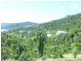 Unit 41 The Summit Apartments 15 Flametree Crt, Airlie Beach QLD 4802