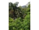 66 Dominca Drive, Sugarloaf QLD 4800
