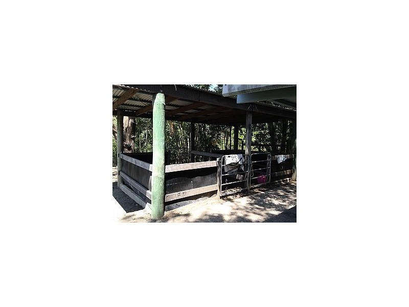 71 Hibiscus Road, Cannon Valley QLD 4800