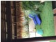 3 Blackcurrent Drive, Hideaway Bay QLD 4800 Floorplan