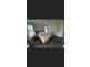 36 ROSERIC CRESCENT, Hideaway Bay QLD 4800