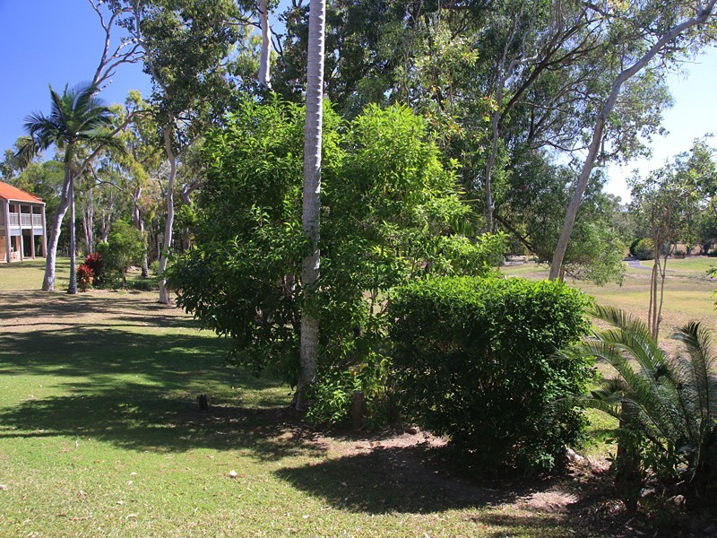 1115 Hillside Terraces, Laguna Quays QLD 4800