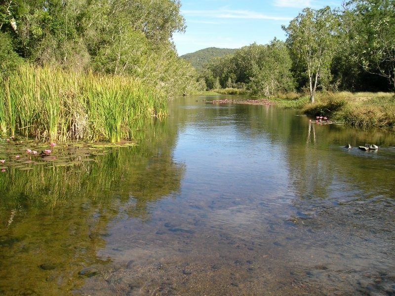 2270 Proserpine Dam Road, Proserpine QLD 4800