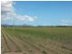 Proserpine QLD 4800