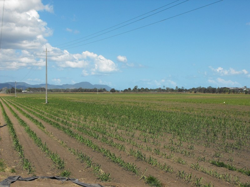 Proserpine QLD 4800