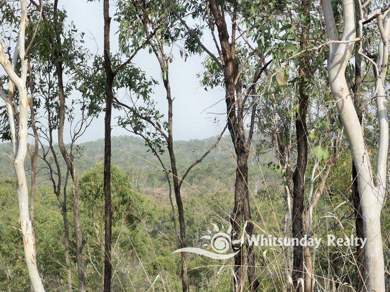 Lot 79 Lindeman Drive, Bloomsbury QLD 4799