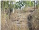 Lot 79 Lindeman Drive, Bloomsbury QLD 4799