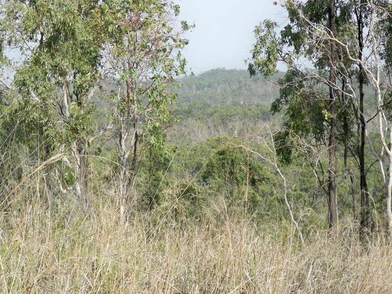 Lot 79 Lindeman Drive, Bloomsbury QLD 4799