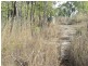 Lot 79 Lindeman Drive, Bloomsbury QLD 4799