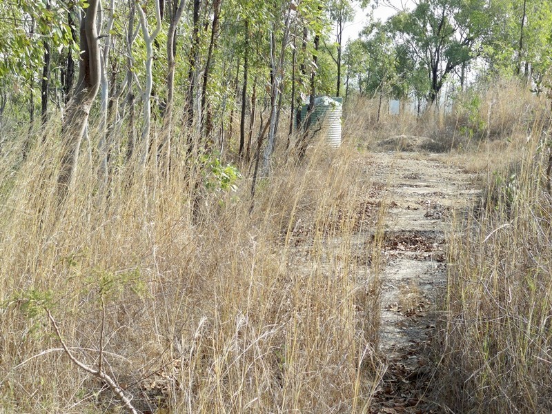 Lot 79 Lindeman Drive, Bloomsbury QLD 4799