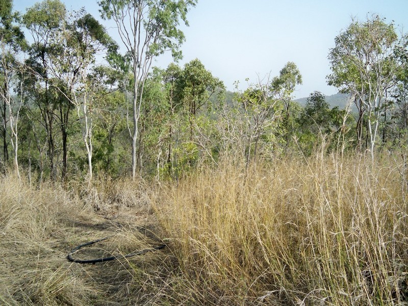 Lot 79 Lindeman Drive, Bloomsbury QLD 4799
