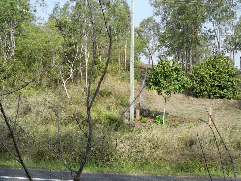 Lot 98 Midge Point Rd, Bloomsbury QLD 4799