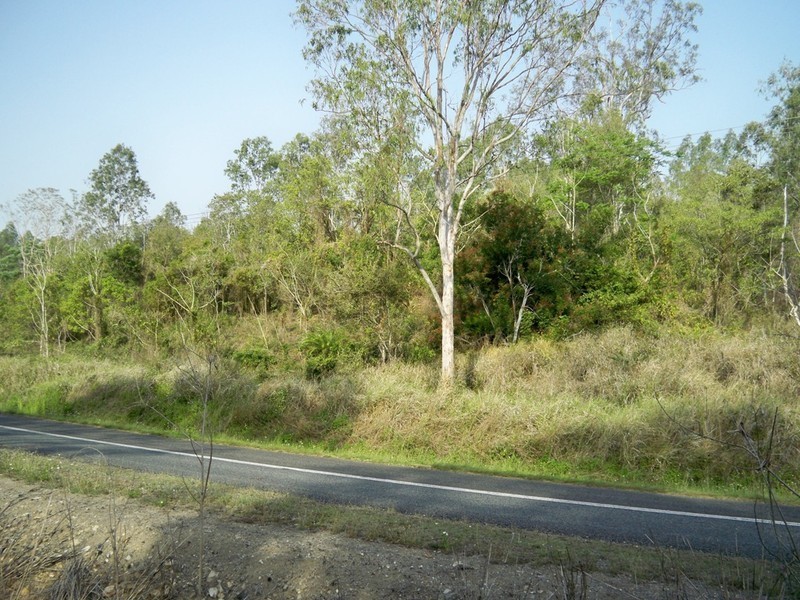 Lot 98 Midge Point Rd, Bloomsbury QLD 4799