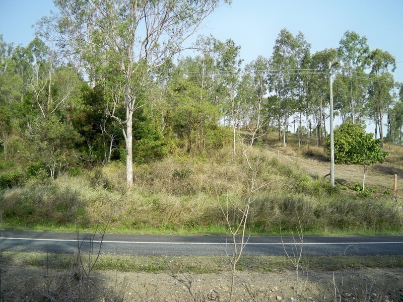 Lot 98 Midge Point Rd, Bloomsbury QLD 4799