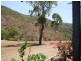 16 Olden Court, Hideaway Bay QLD 4800