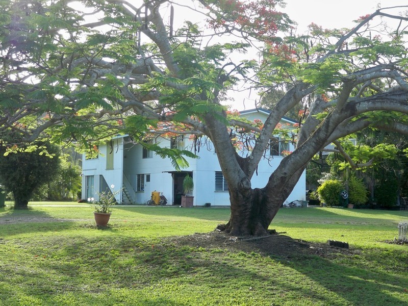 31 Mount Ossa Road, Mount Ossa QLD 4741