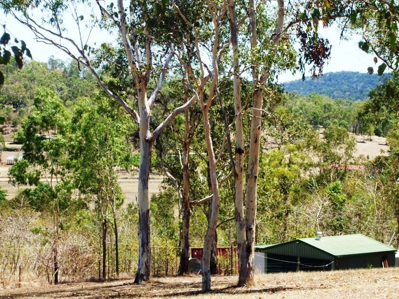 63 Turner Road, Riordanvale QLD 4800