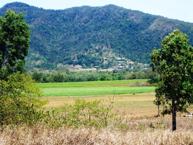 63 Turner Road, Riordanvale QLD 4800