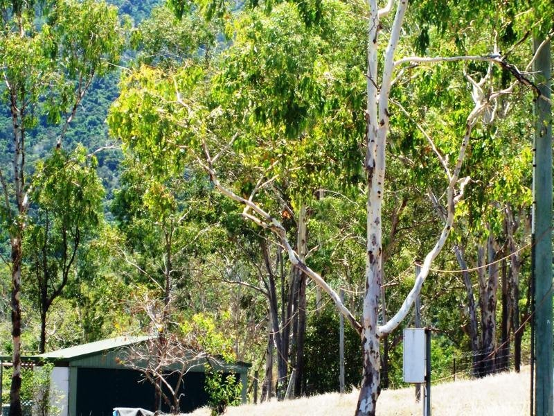 63 Turner Road, Riordanvale QLD 4800