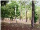 73 Turner Road, Riordanvale QLD 4800