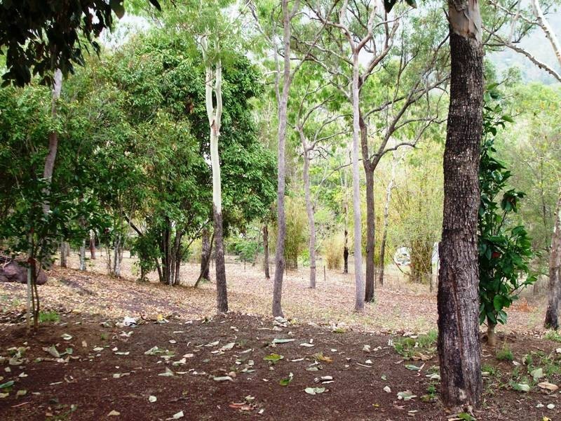 73 Turner Road, Riordanvale QLD 4800