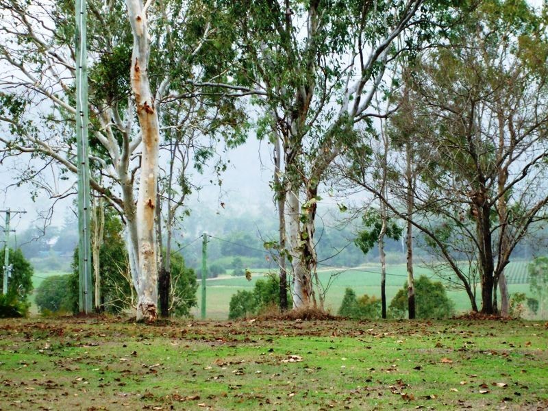 73 Turner Road, Riordanvale QLD 4800