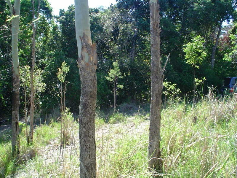 81 Conway Road, Conway QLD 4800