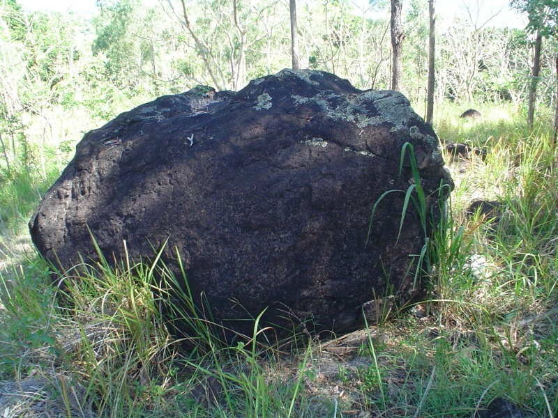 81 Conway Road, Conway QLD 4800