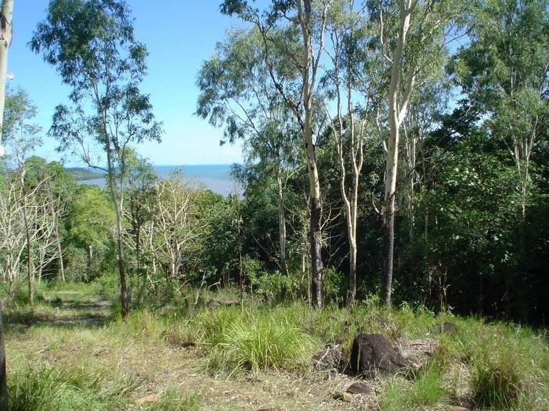 81 Conway Road, Conway QLD 4800